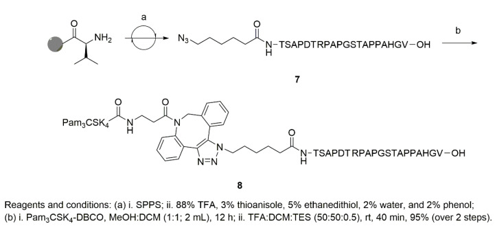 Scheme 2