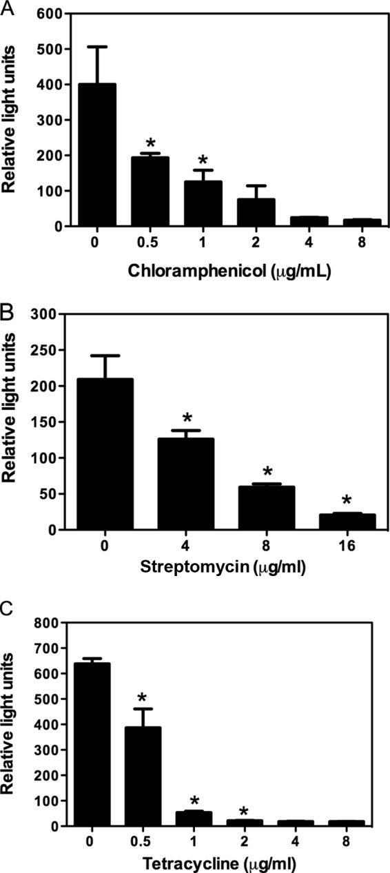 FIG 3