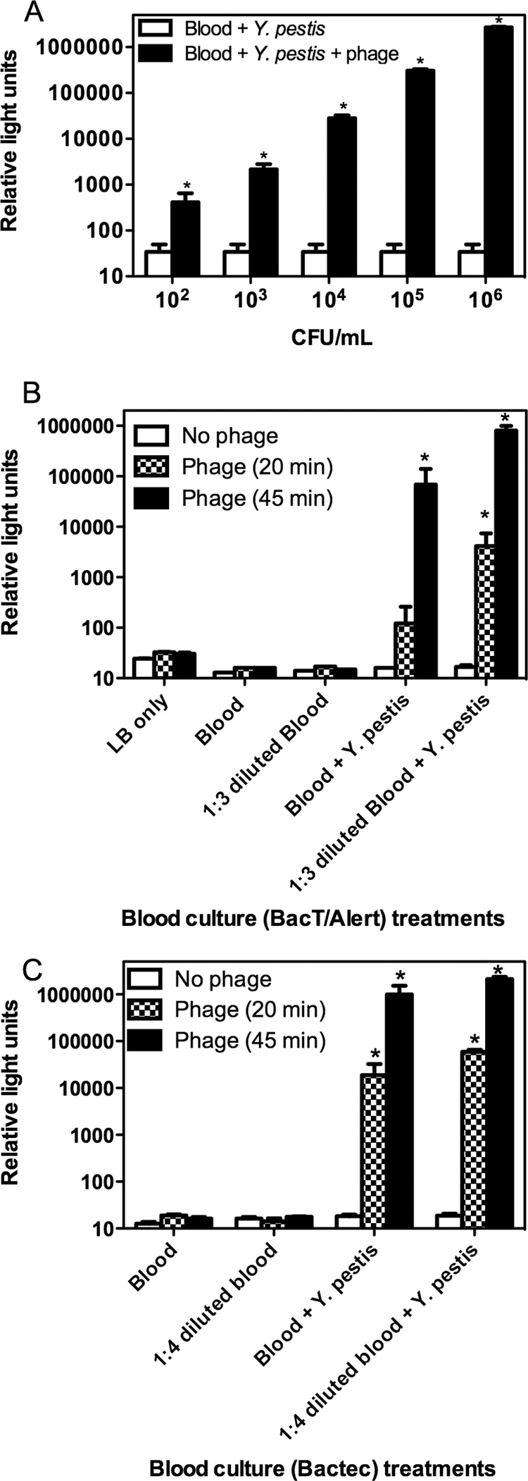 FIG 2