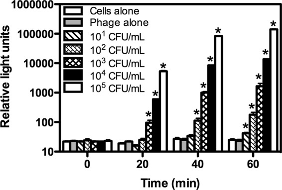 FIG 1