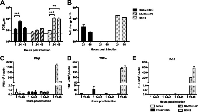 Fig 6