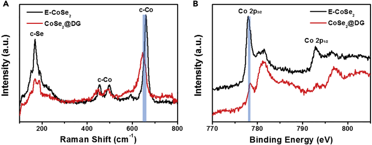 Figure 3