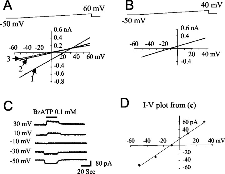 Fig. 5.