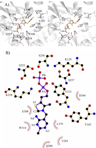 FIG. 2.