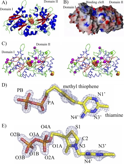 FIG. 1.