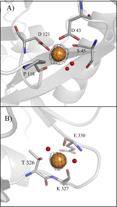 FIG. 3.