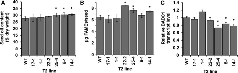 Figure 9.