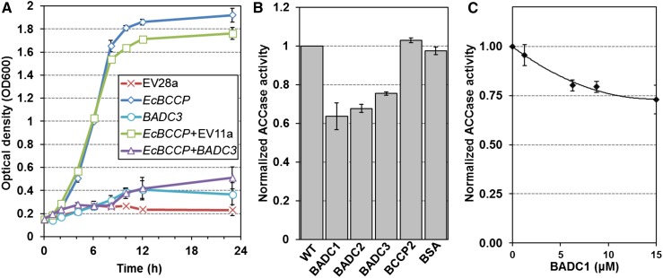 Figure 7.