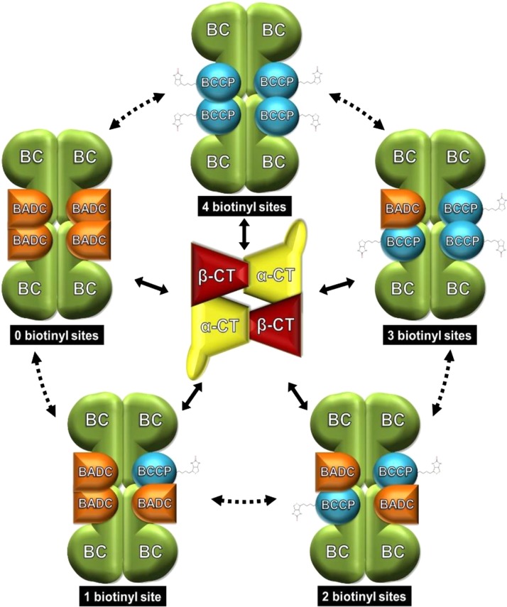 Figure 10.