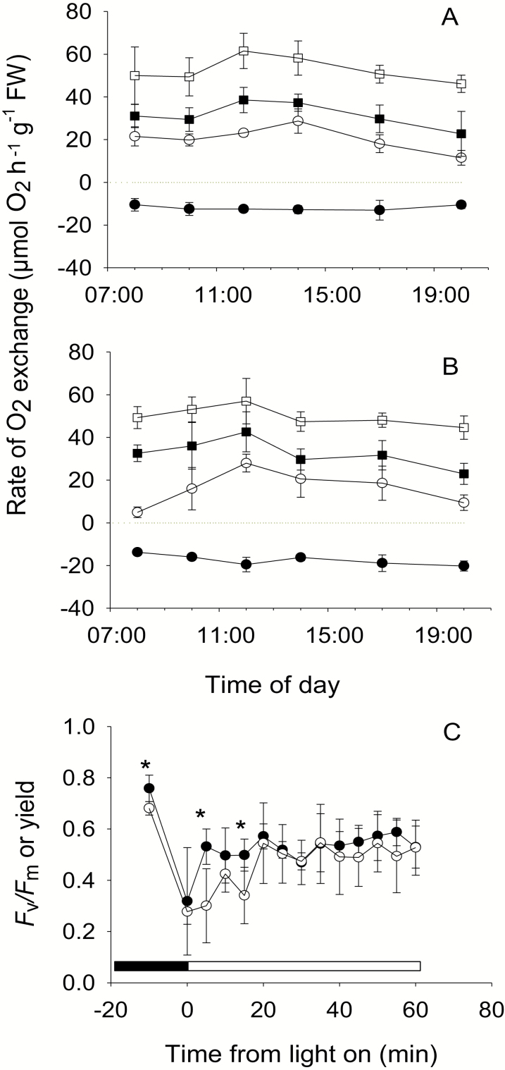 Fig. 4.