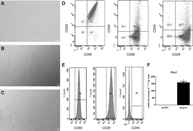 FIG. 1.