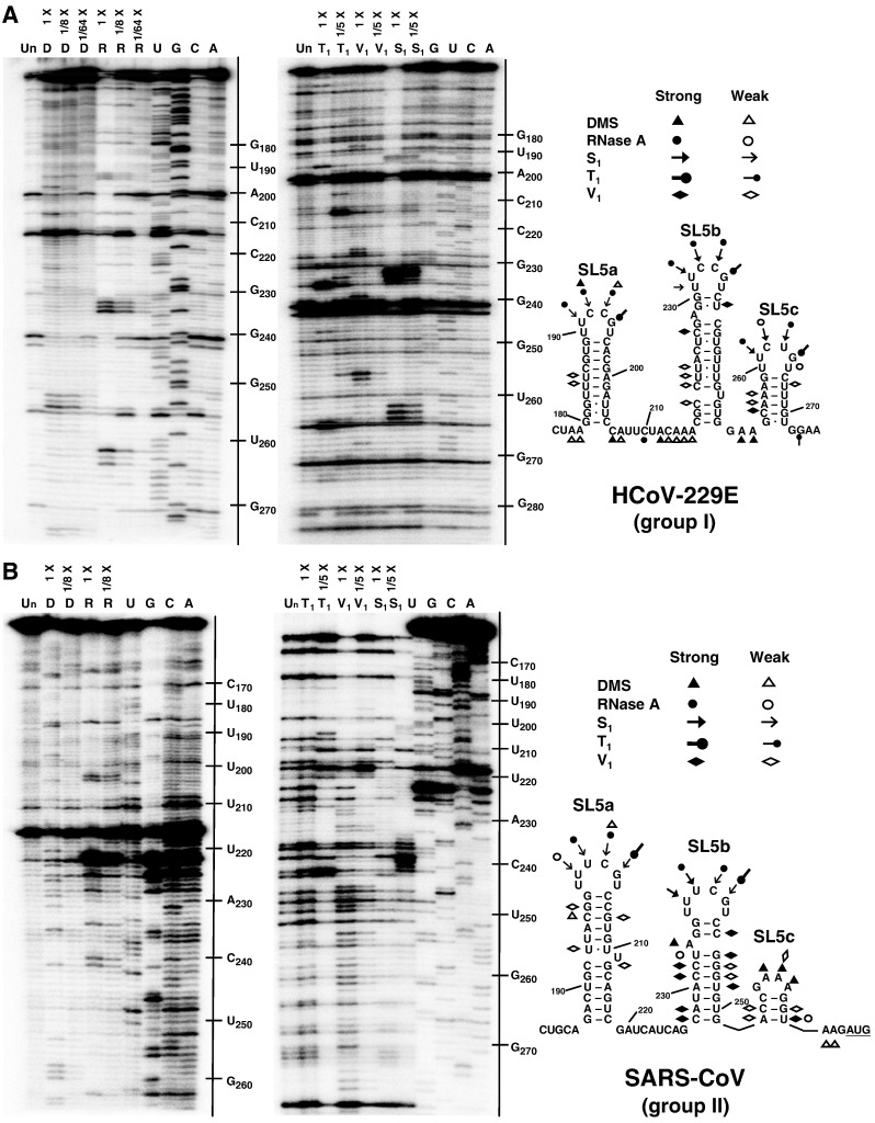 Fig. 6