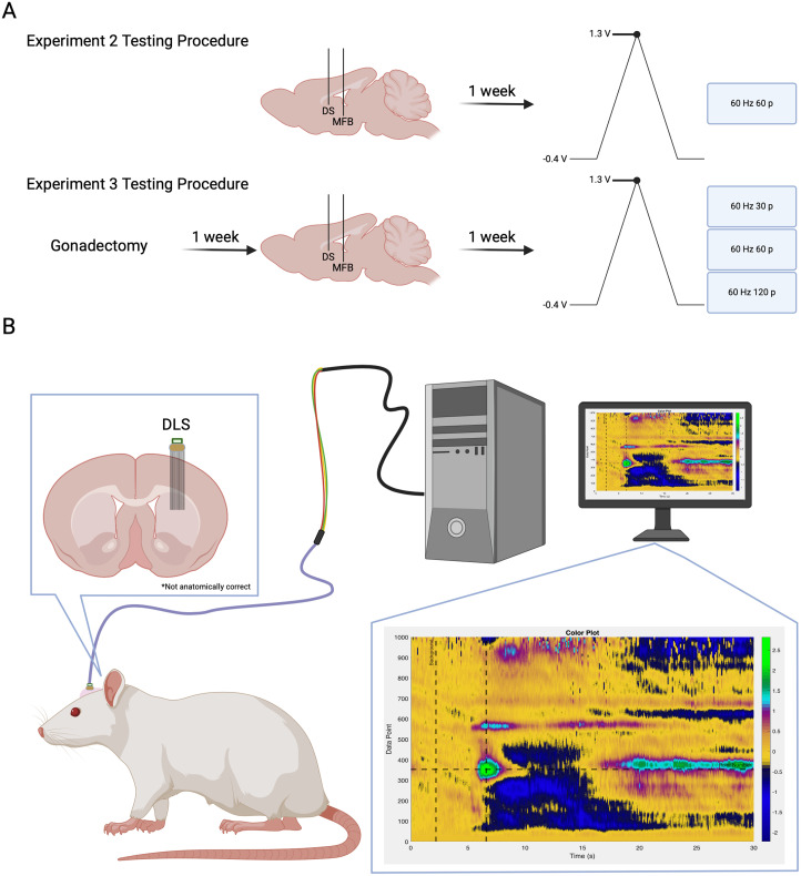 Figure 2.