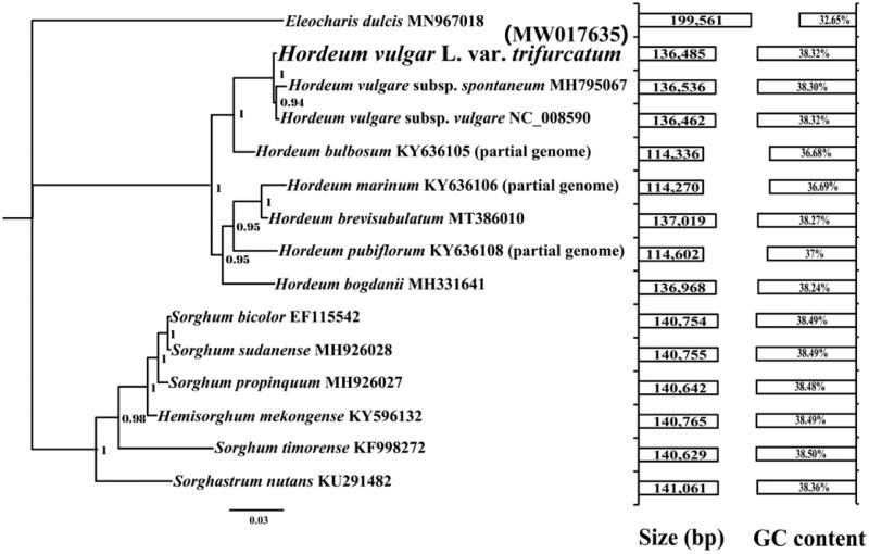 Figure 1.