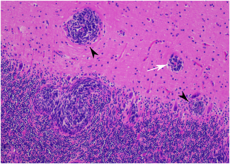 Fig. 3