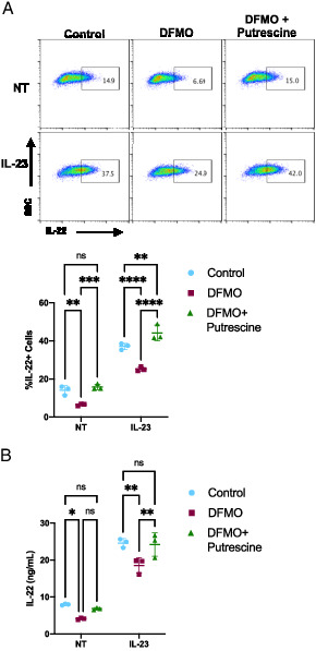 FIGURE 4. Putrescine rescues DFMO-mediated reduction of ILC3 activation. (A) MNK-3 cells grown in the presence or absence of 500 μM DFMO with or without 500 μM putrescine were stimulated or not (NT) with IL-23 for 5 h in the presence of BFA followed by ICS and FACS analysis. Shown are representative FACS plots and summary data. Each point represents a well, and lines indicate means. n = 3. Data are representative of three independent experiments. (B) MNK-3 cells were grown in the presence or absence of 500 μM DFMO with or without 500 μM putrescine. Cells were stimulated with IL-23 or left NT for 18 h, and IL-22 in the supernatants was quantitated by ELISA. Each point represents one well, and lines indicate means. n = 3. Data are representative of three independent experiments. *p ≤ 0.05, **p &lt; 0.01, ***p &lt; 0.001, ****p &lt; 0.0001. Differences that were not significant (p &gt; 0.05) are marked as “ns.”