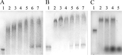 FIG. 4.