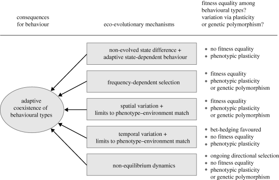 Figure 2.