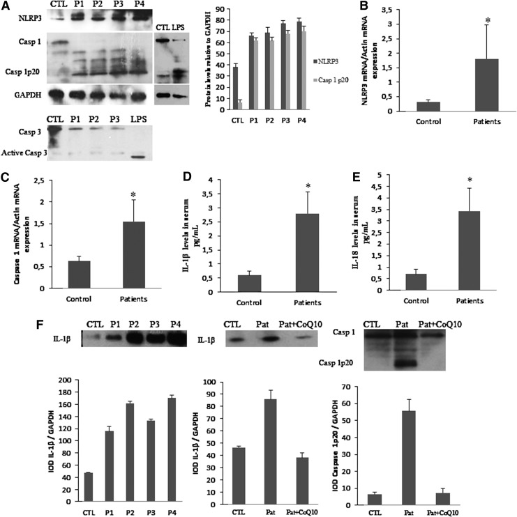 FIG. 3.