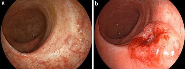 Fig. 4