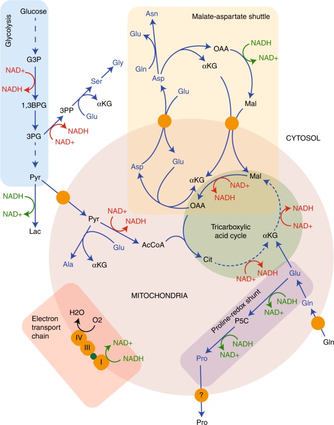 Fig. 2