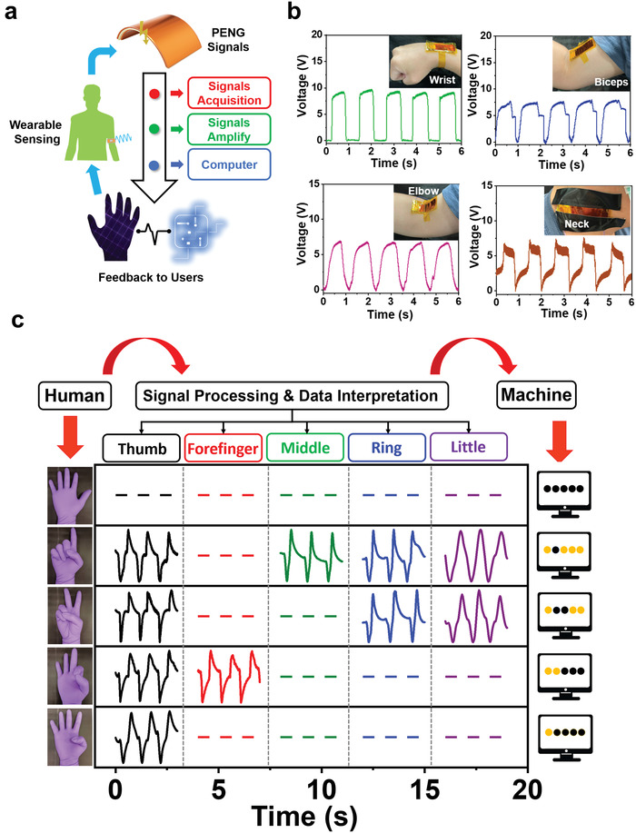 Figure 4