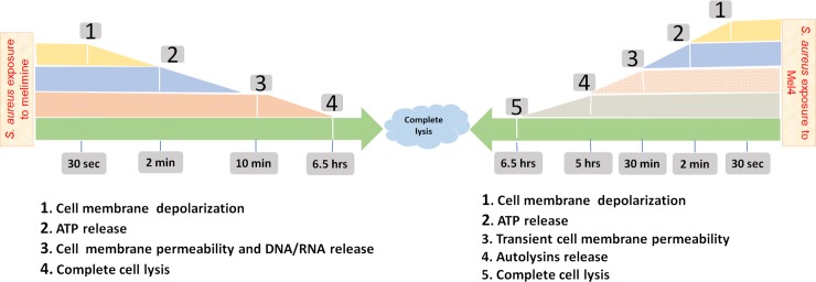 Fig 11