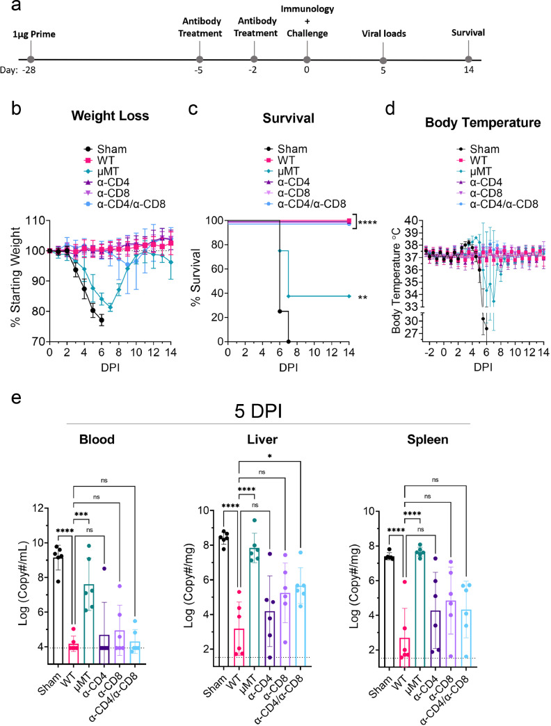 Figure 6: