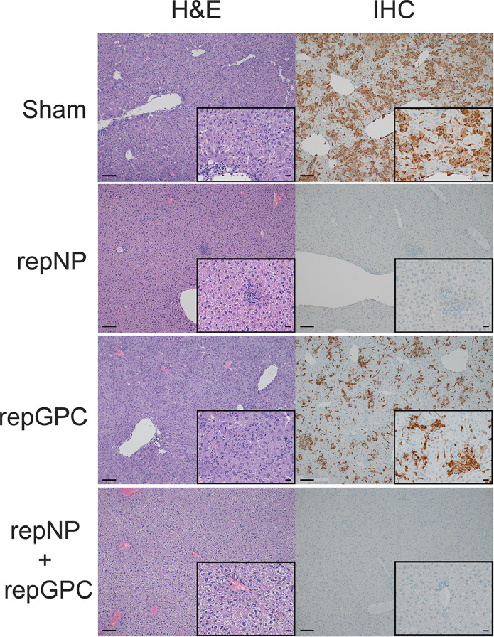 Figure 3: