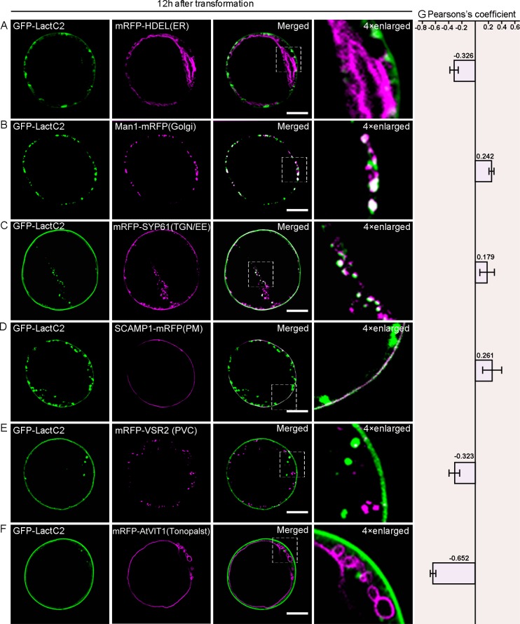 Fig 8