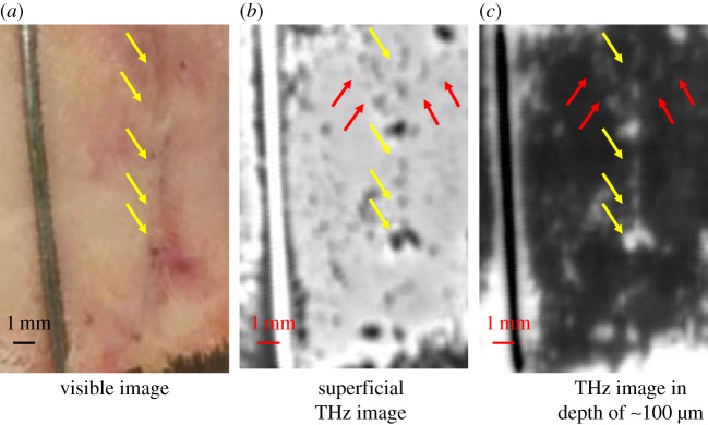 Figure 6.