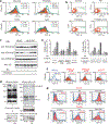 Figure 4 |