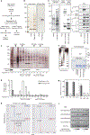 Figure 2 |