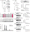 Figure 3 |