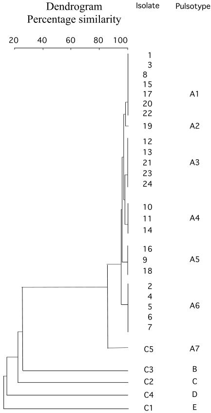 FIG. 2.