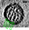 FIG. 1.