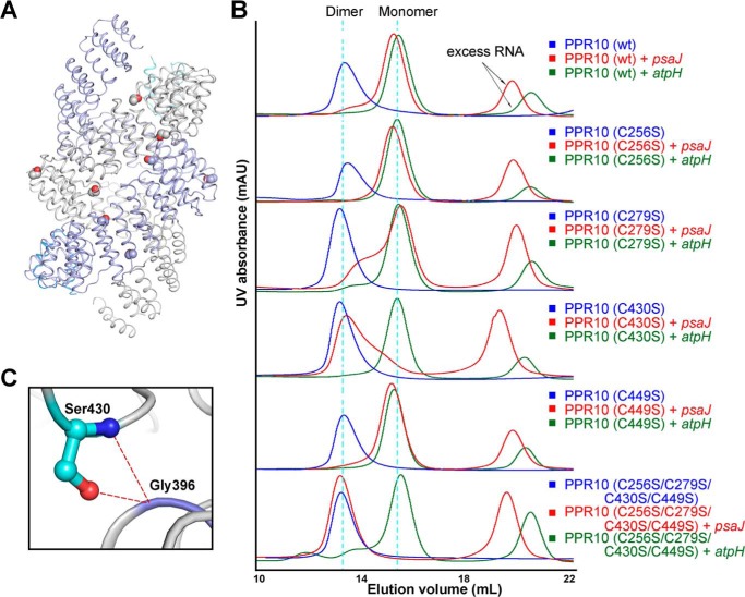 FIGURE 4.