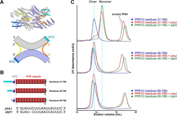 FIGURE 2.