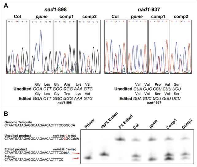 Figure 3.