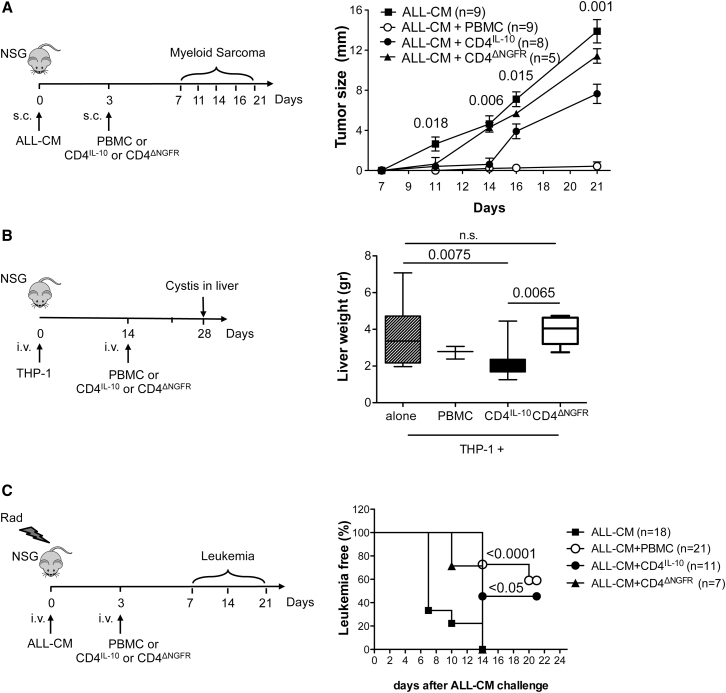 Figure 6