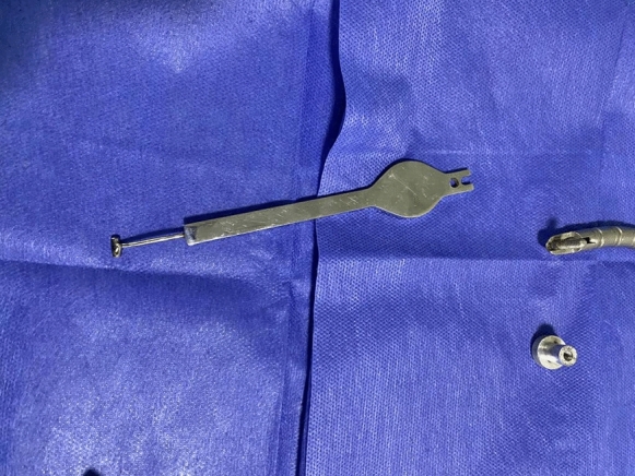 Fig. 1
