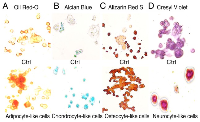 Figure 6.