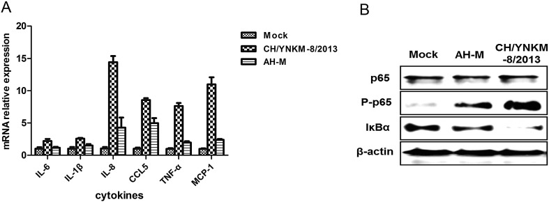 Fig. 8