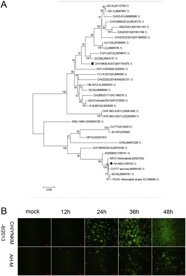 Fig. 1