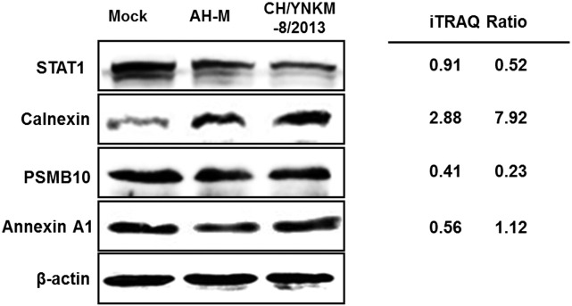 Fig. 6