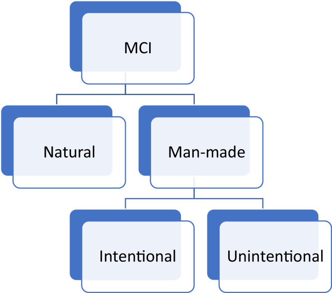 FIG 1