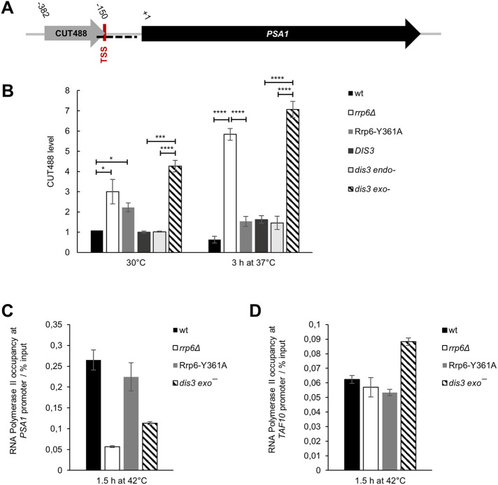 FIGURE 6: