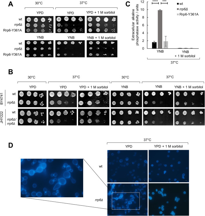 FIGURE 1: