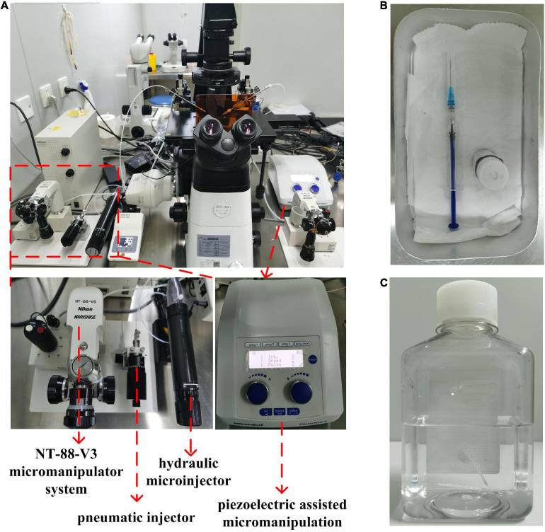 FIGURE 3