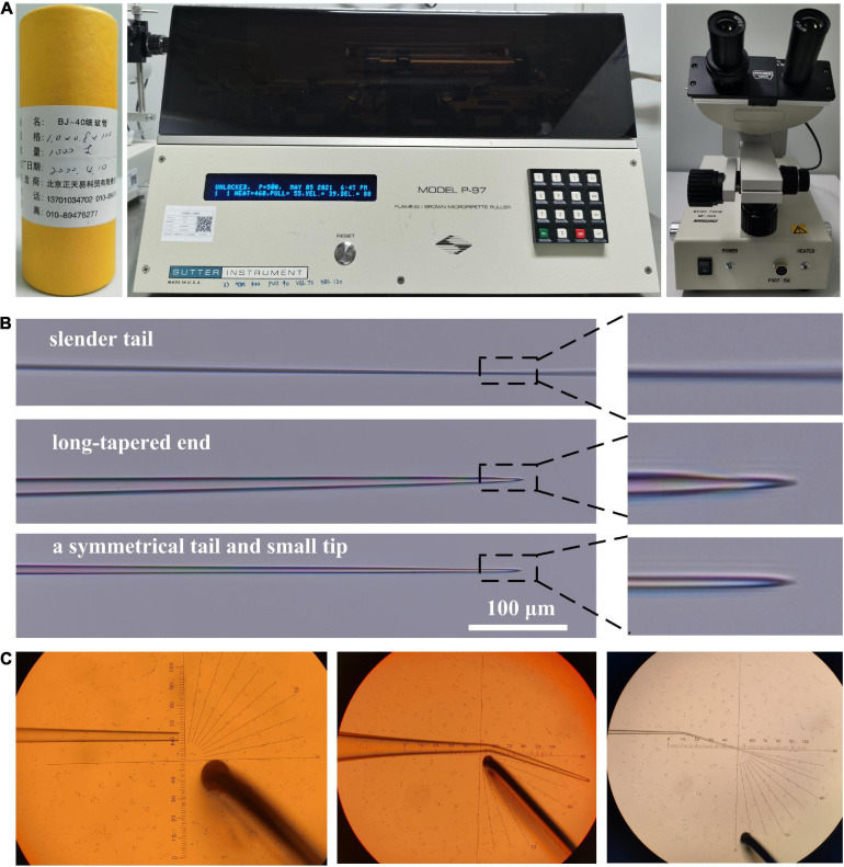 FIGURE 1